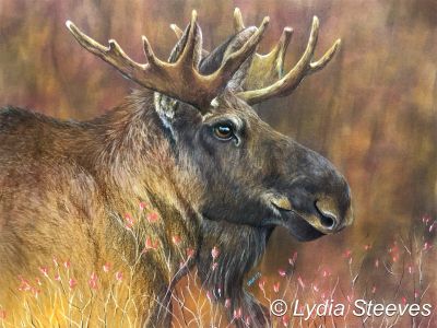 Denali Moose CP e-Packet and Prep Video